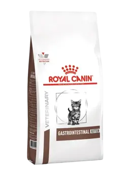 gastrointestinal kitten
