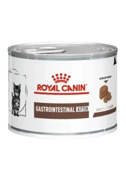 gastrointestinal kitten