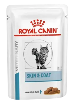 skin & coat
