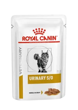 urinary s/o gravy