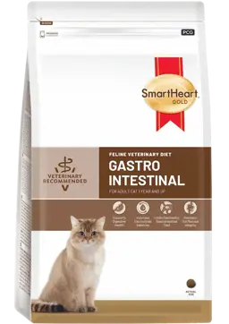 feline veterinary diet gastrointestinal