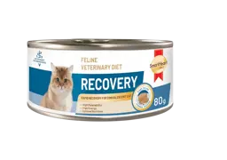 feline veterinary diet recovery