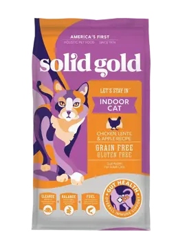 let's stay in indoor cat