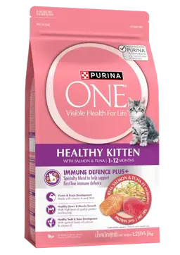 healthy kitten with salmon & tuna