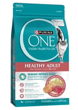 healthy adult with salmon & tuna