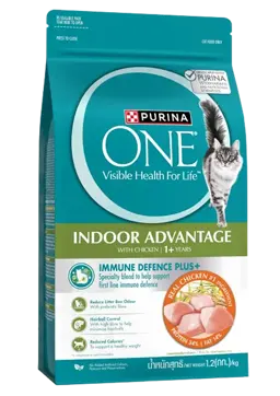 indoor advantage with chicken