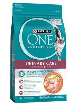 urinary care with chicken