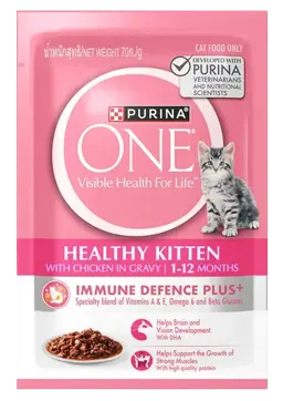 healthy kitten with chicken in gravy