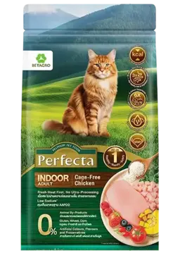 wellness indoor adult cage-free chicken