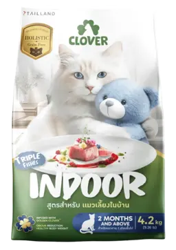 indoor