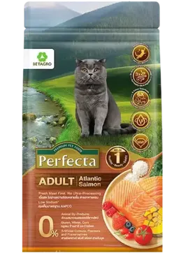 wellness adult atlantic salmon