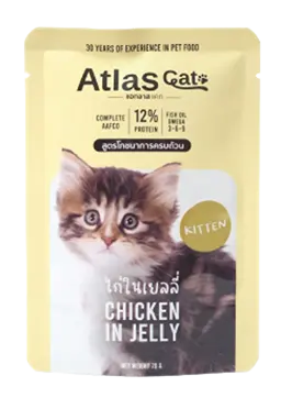 chicken in jelly for kitten
