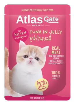 tuna in jelly for kitten