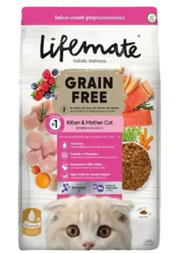grain free kitten & mother