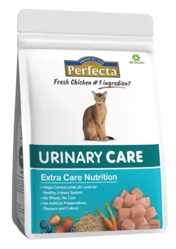 urinary care