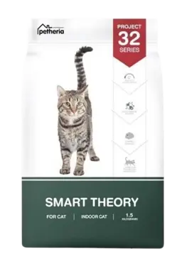 project 32 series smart theory