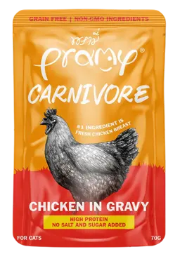 carnivore chicken in gravy
