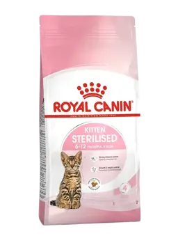kitten sterilised
