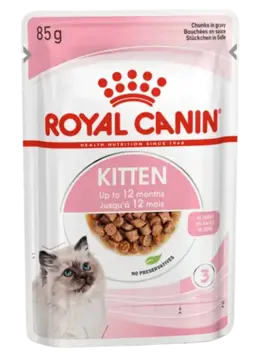 kitten gravy
