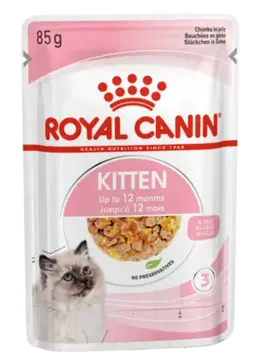 kitten jelly