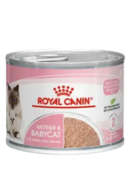 mother & babycat mousse