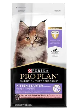 kitten starter salmon & tuna formula