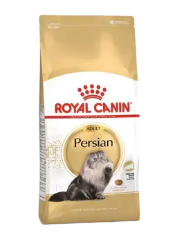 persian adult