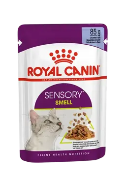 sensory smell chunks in jelly