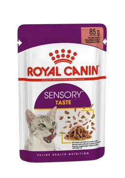 sensory taste chunks in gravy