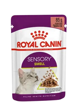 sensory smell chunks in gravy