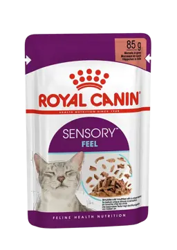sensory feel morsels in gravy