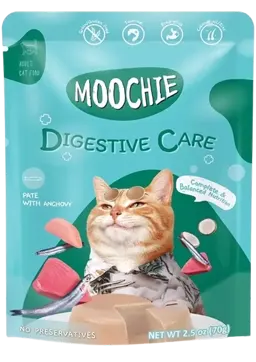 digestive care pate with anchovy