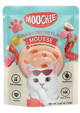 tuna & lobster flavor mousse