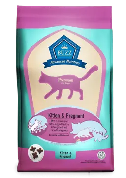 advanced nutrition kitten & pregnant