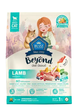beyond lamb