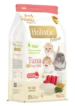 holistic feline kitten