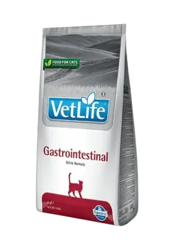 gastrointestinal feline