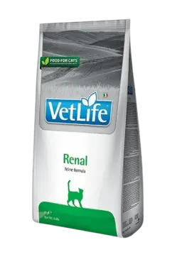 renal feline