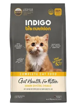 gut health for kitten