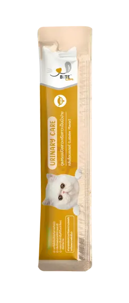 urinary care