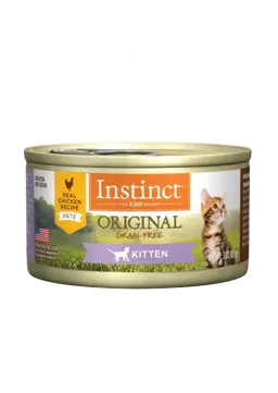 original kitten chicken wet