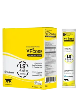 ls l-lysine