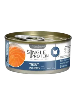 fresh water fish trout in gravy