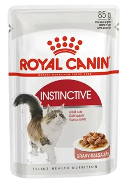 instinctive gravy