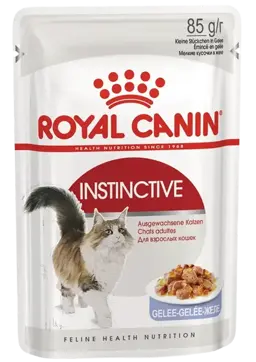 instinctive jelly