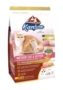 mother cat & kitten