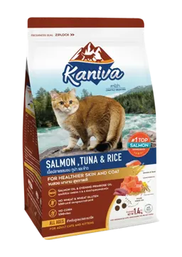 salmon, tuna & rice