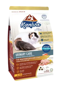 urinary care