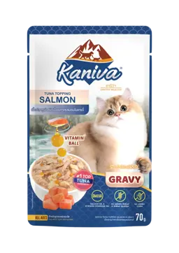 tuna with salmon in gravy