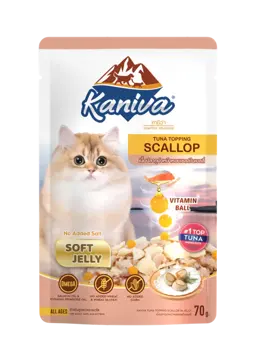 tuna topping scallop in soft jelly